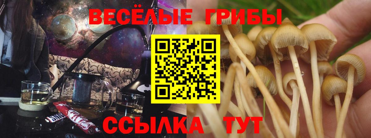 Галлюциногенные грибы мицелий Хабаровск
